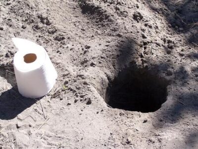 Flushable Toilets Need a Celebrity Advocate Image